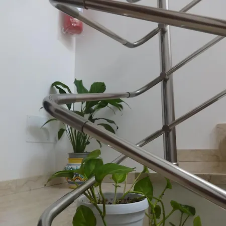 Fedra * Трапани